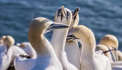 开云注册网址-上海男篮迎来新主教练,战术大调整,上海男篮最新主教练