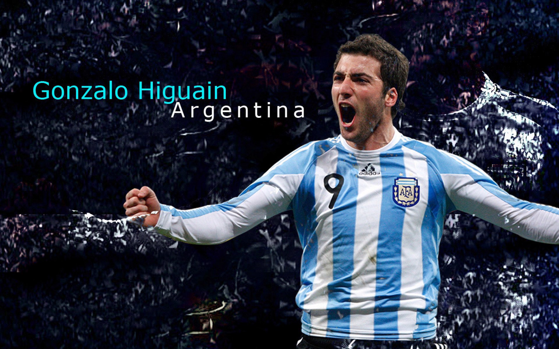 _奇才队士气振奋，追梦季后赛_，奇才队视频