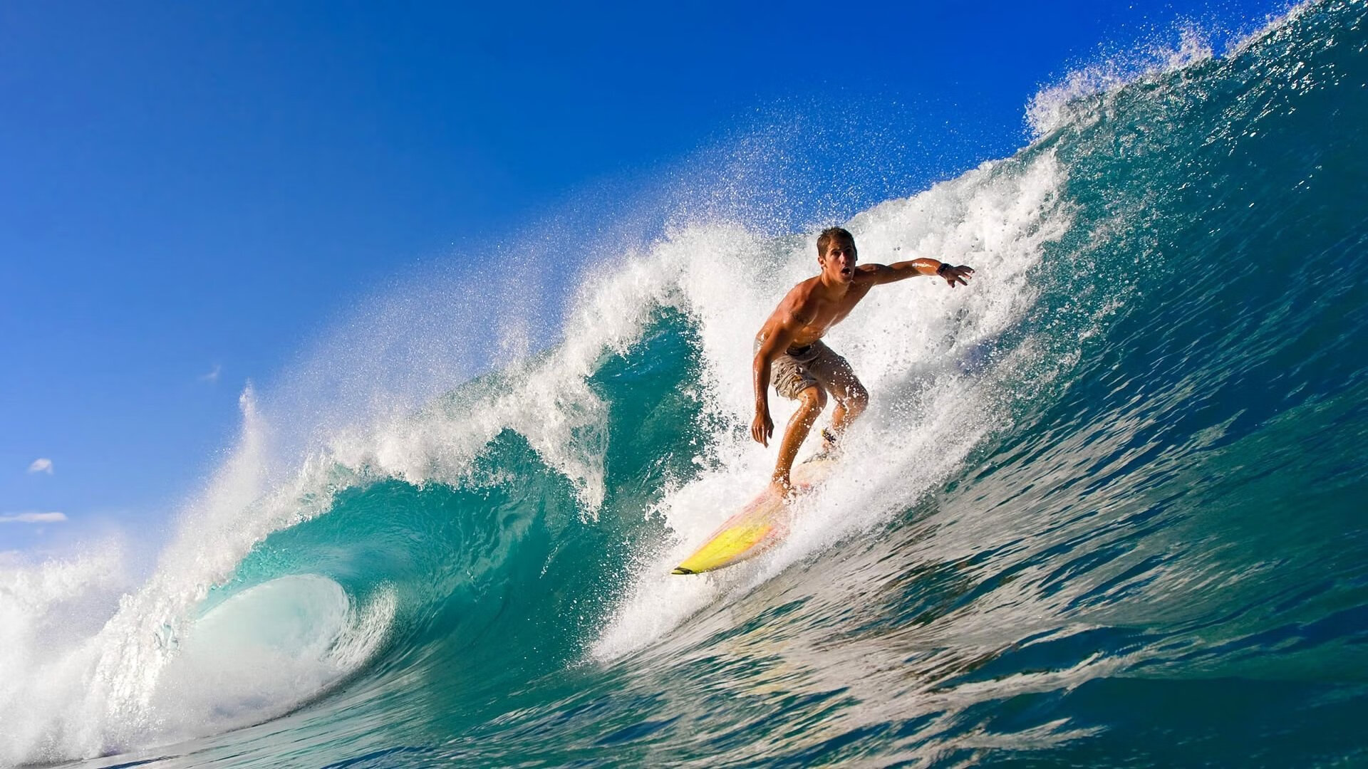 巴西男足主帅:未能晋级是“巨大的失望”,巴西 男足